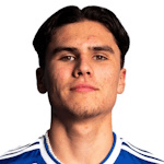 М. Фджёртофт Лёвик