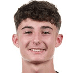 Р. Мирисола