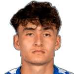 Н. Микелсон