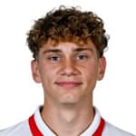 Д. Миколаджевски