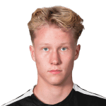 Е. Петтерсен