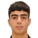 П. Манукиан