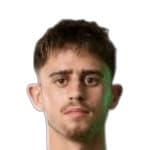 Томер Ланнес Арбел