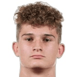 Г. Вандеплас