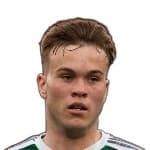 Д. Куммингс