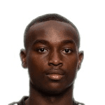 Н. Берчимас