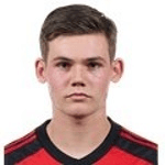 Л. Вергеилен