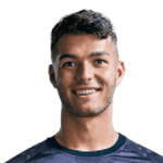 Д. Пераич-Куллен