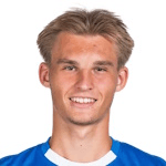 К. Виенер-Пучер