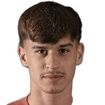 Б. Мирчетич