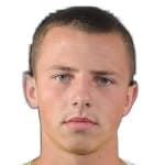 В. Пригодич