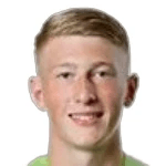 Ф. Барнслеи