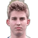 В. Степаненко