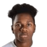 Д. Ндембо-Мичел