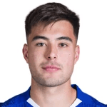 А. Анселмино