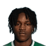 Джоао Силва