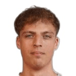 А. Хофлеитнер