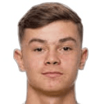 Ф. Бозикевик