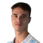 Н. Медоджевич