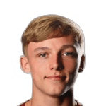 К. Бранниган