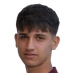 Т. Габеллини