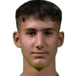 Вук Драшкич