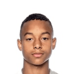 Б. Магнуссон