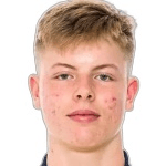 Н. Заттерстрём