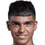 Беркаи Аслан