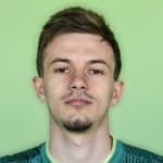 Н. Босанчич