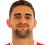 М. Миджаилович