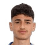 Г. Псилогенис