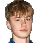 Н. Фуглестад