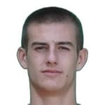 В. Миленковик