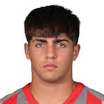 Г. Габбиани