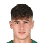 М. Георгиев