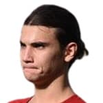 Гианмарко Тумминелли