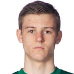 В. Видехулт