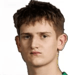 В. Павилонис