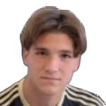 Дж. Воджновиа