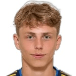 В. Ухрстрём