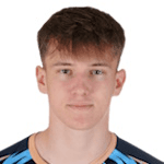 Домагодж Иван Марик