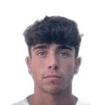 С. Камиллери