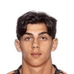 К. Маринковик