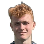 А. Мккаллион