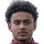 Джоачим Виллиамсон