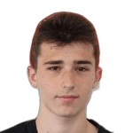 Г. Виоллеау