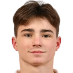 А. Добродицкии