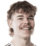 А. Хеинонен