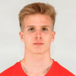 П. Пиираинен